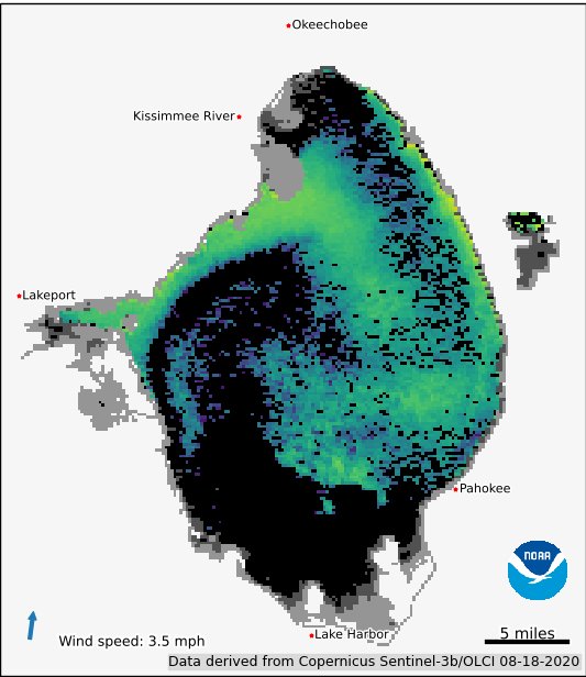 Satellite imagery shows bloom potential in Lake Okeechobee on August 18, 2020.